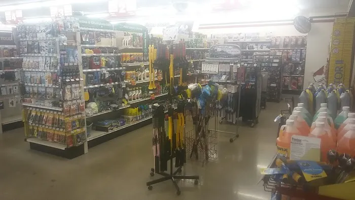 O'Reilly Auto Parts 7
