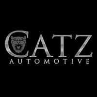 Catz Auto Restoration