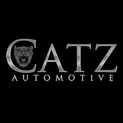 Catz Auto Restoration ico