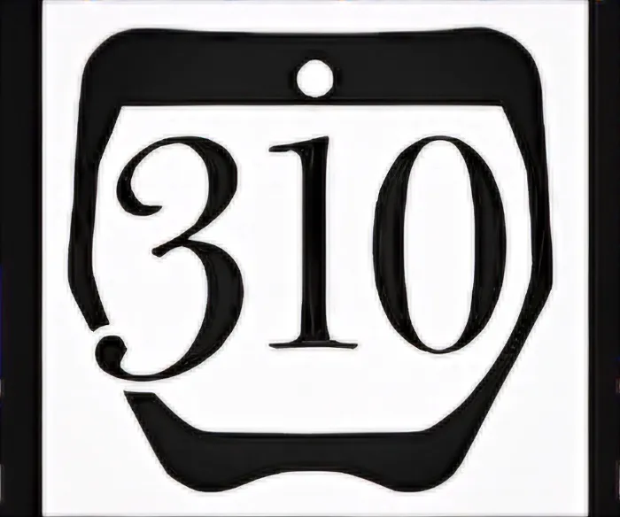 310 Motorsports 6
