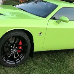 Schnell Auto Body Inc ico