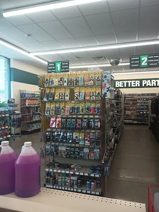 O'Reilly Auto Parts 6