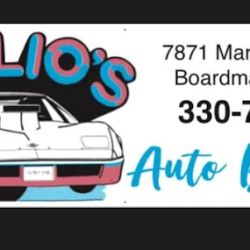 AT Trolio's Auto Body Inc. ico
