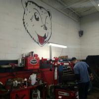 Grizzly Auto & Tire