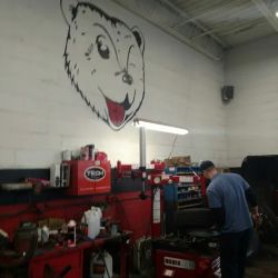 Grizzly Auto & Tire ico
