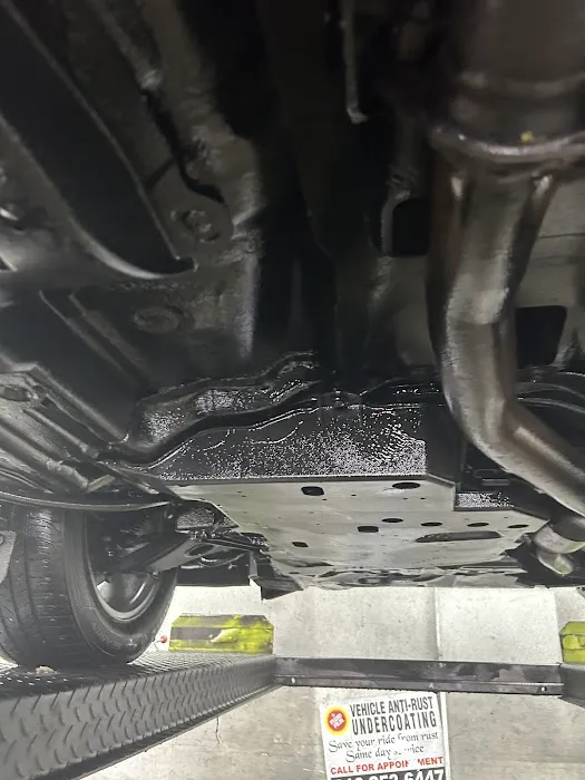 Dan's Undercoating 4