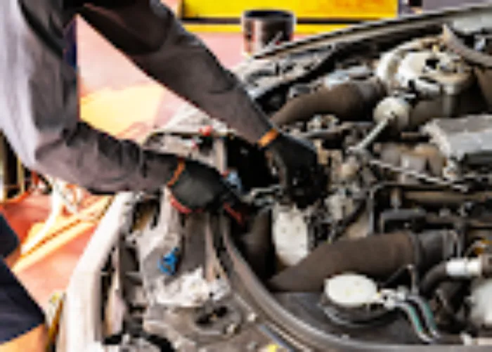 Take 5 Oil Change 1
