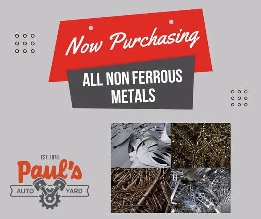 Paul's Auto Yard 7