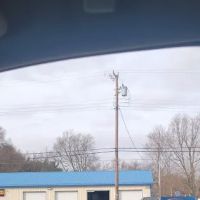 Wise Choice Automotive