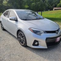 Blackout Tinting
