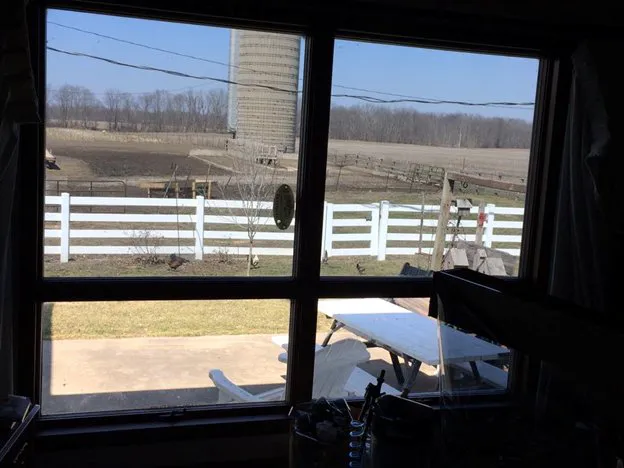 Ace Of Shades Window Tinting 0