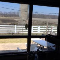 Ace Of Shades Window Tinting