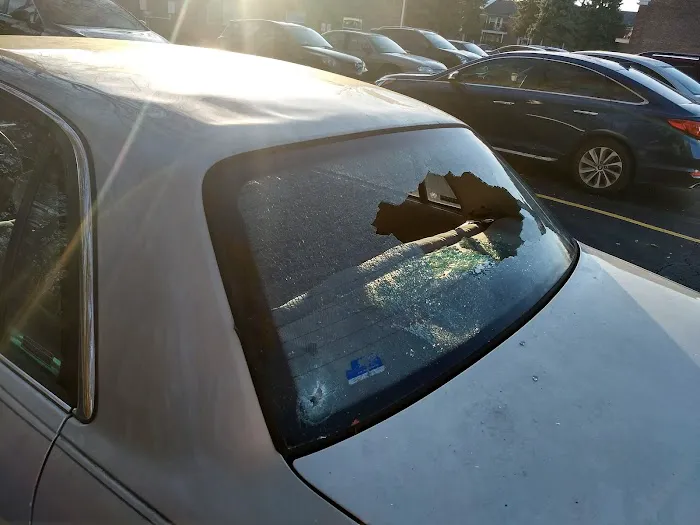 Miami Auto Glass 2