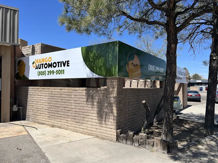 Mango Automotive 9