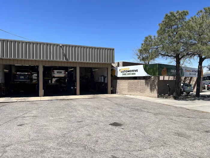 Mango Automotive 2