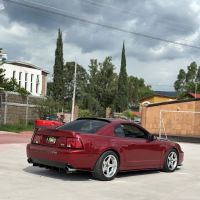 Dyno Edge