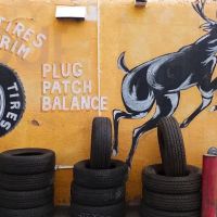 Venado Tires