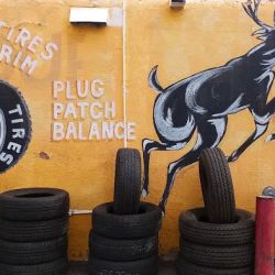Venado Tires ico