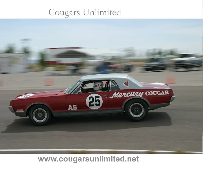 Cougars Unlimited LLC 3