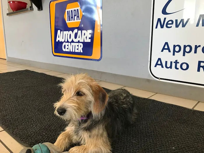 Browns Automotive Experts 5