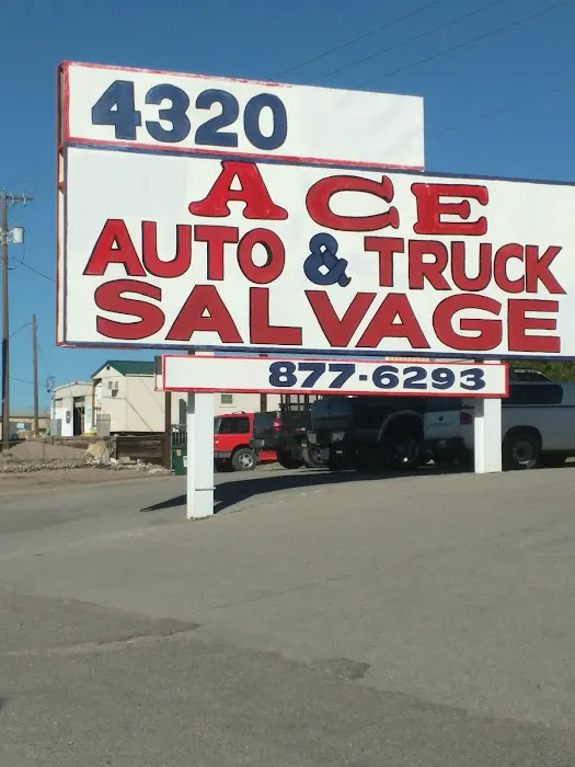 Ace Auto Parts 1