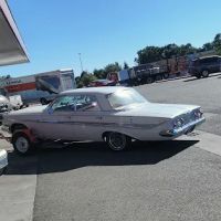 True Auto Glass
