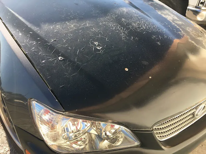 Quality auto body 8