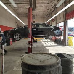 BJ's Tire Center ico