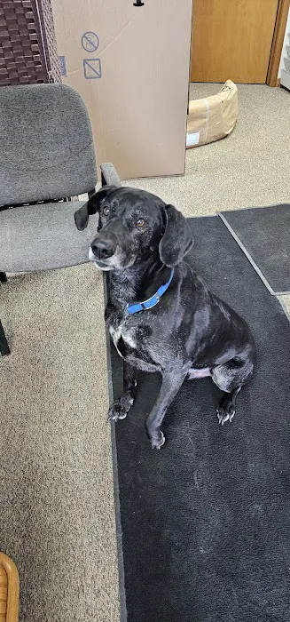 Fender Mender Collision Center, LLC 1