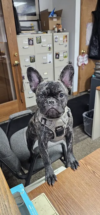 Fender Mender Collision Center, LLC 0