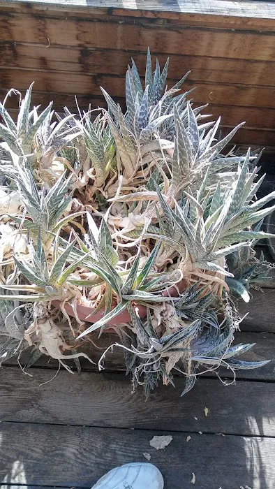 Fender Mender Collision Center, LLC 2