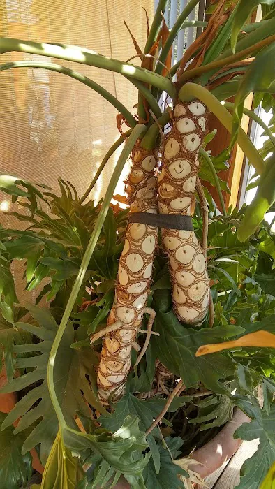 Fender Mender Collision Center, LLC 7