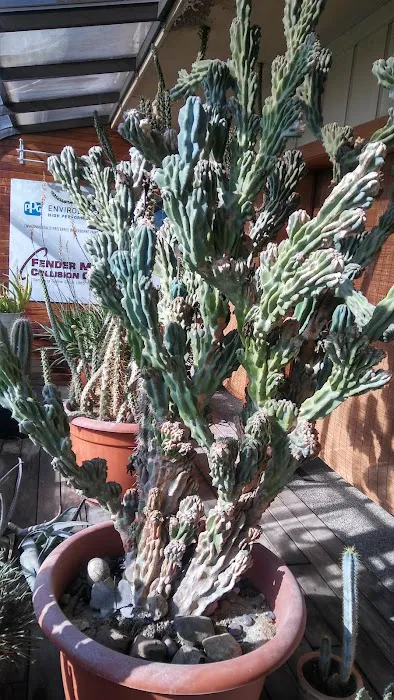 Fender Mender Collision Center, LLC 3