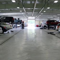 Young Service Center ico