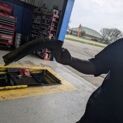 Monroe Quick Lube Plus ico