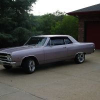 T and M Automotive