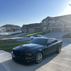 Team Tyler Racing ico