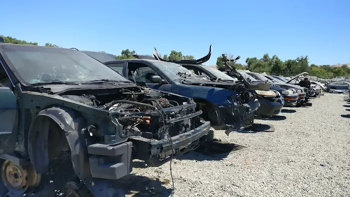 Pick-n-Pull 6