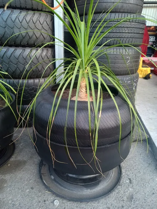 Super Cheap Tires 6