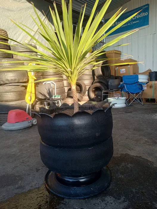 Super Cheap Tires 1