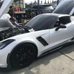 Wilson Motorsports Auto Repair ico