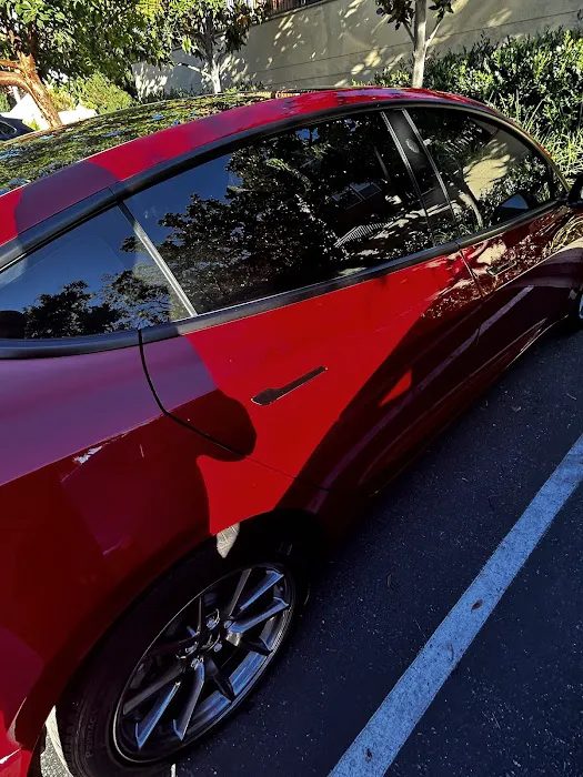 Fix Auto Willow Glen 7