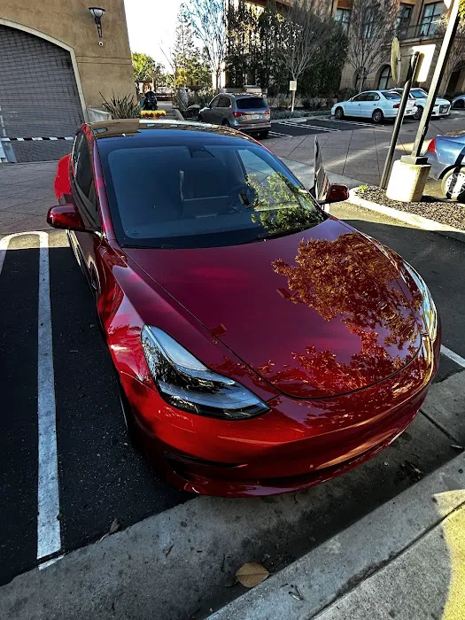 Fix Auto Willow Glen 3