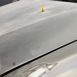 Tiago's Auto Body & Paint, Inc. ico