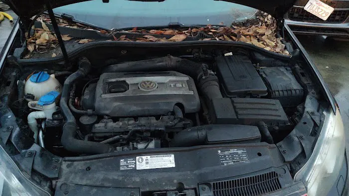 Elian's Auto Repair 0