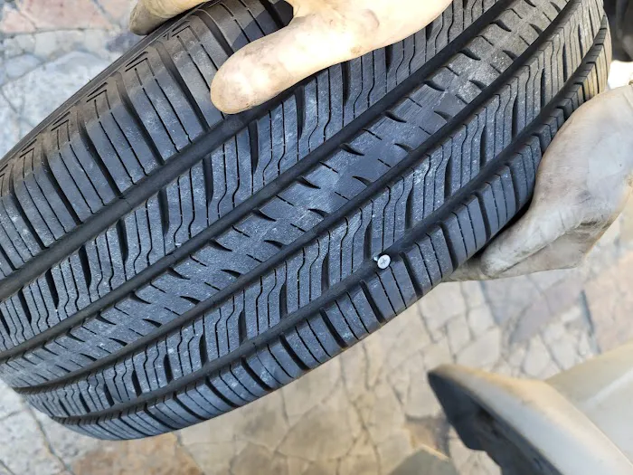Luna's Tires 9