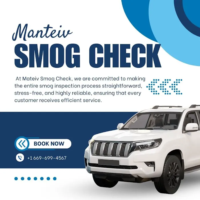 Manteiv Smog Check 7