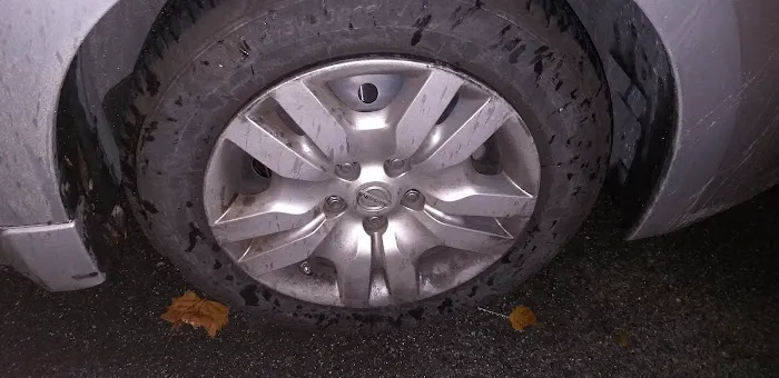 O'Reilly Auto Parts 7