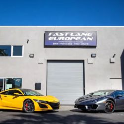 Fast Lane European ico