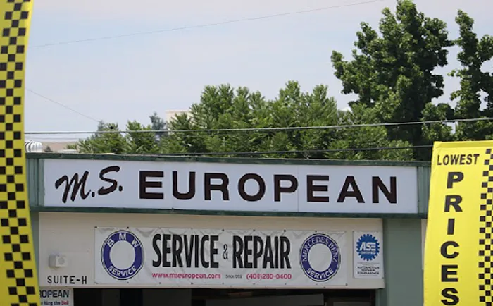 M.S. European 0